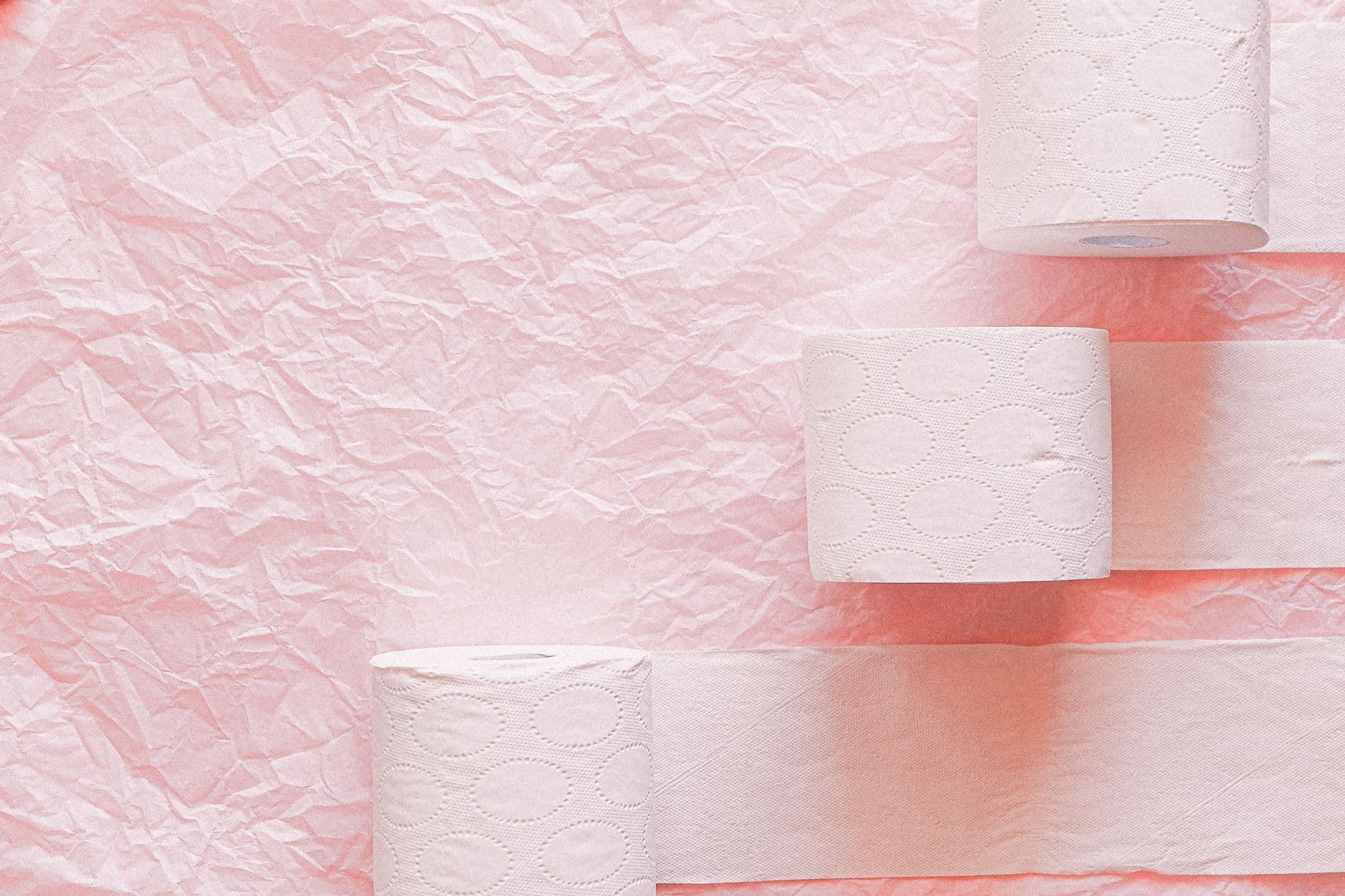 Toilet Tissue, the goods An An supplies