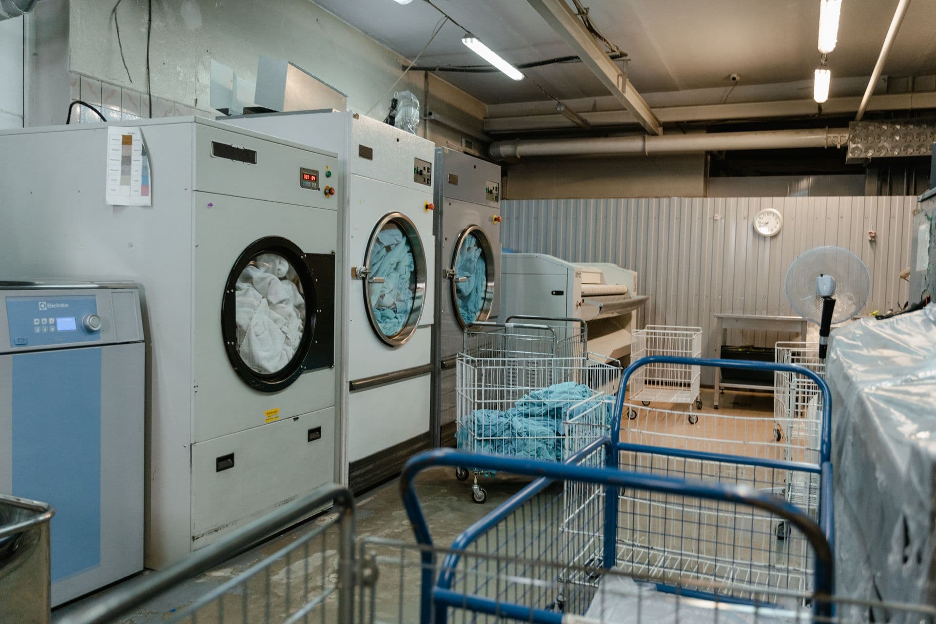 Detergent, the goods Surf supplies