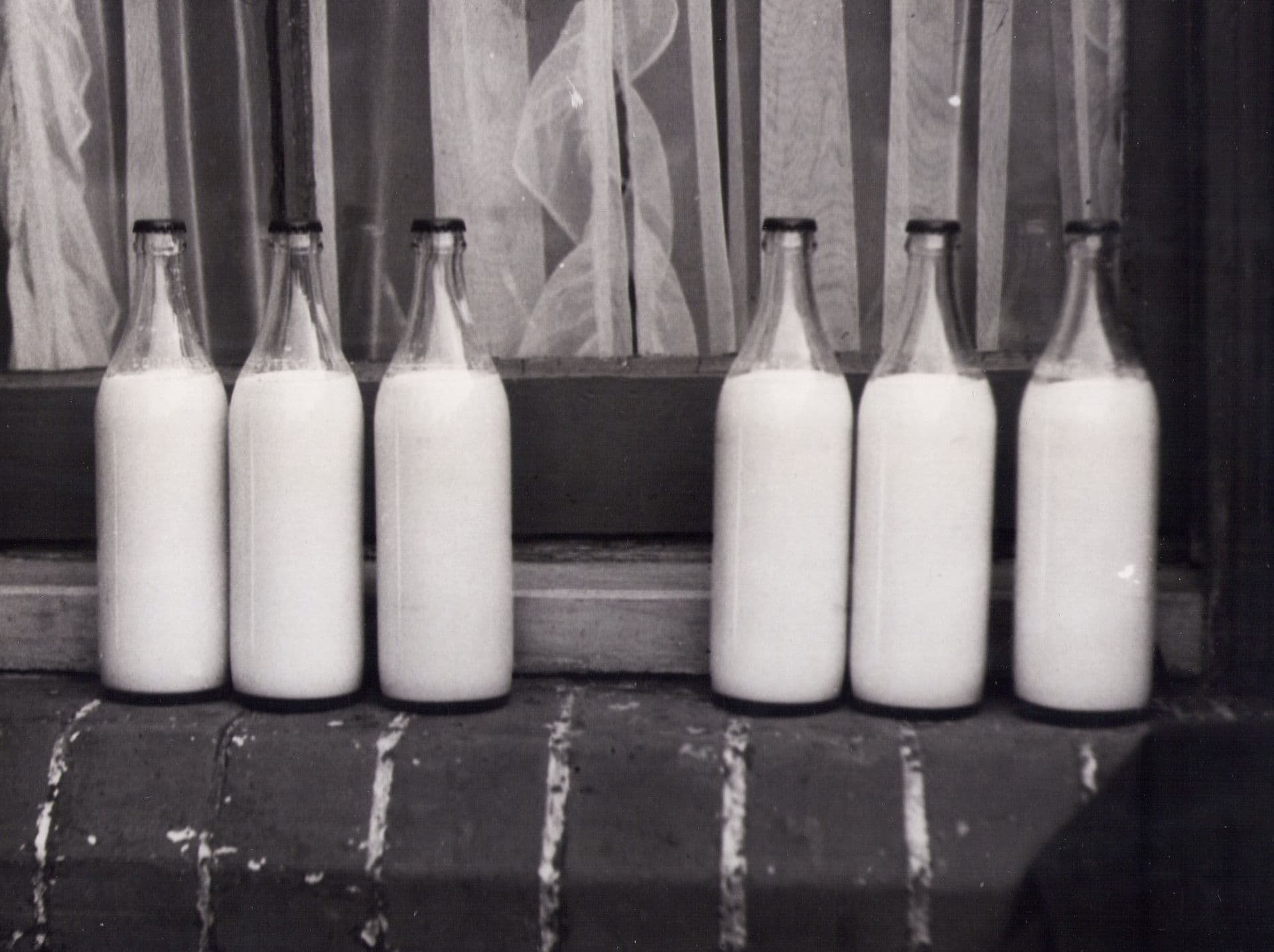Lait, les produits fournis par TH true MILK