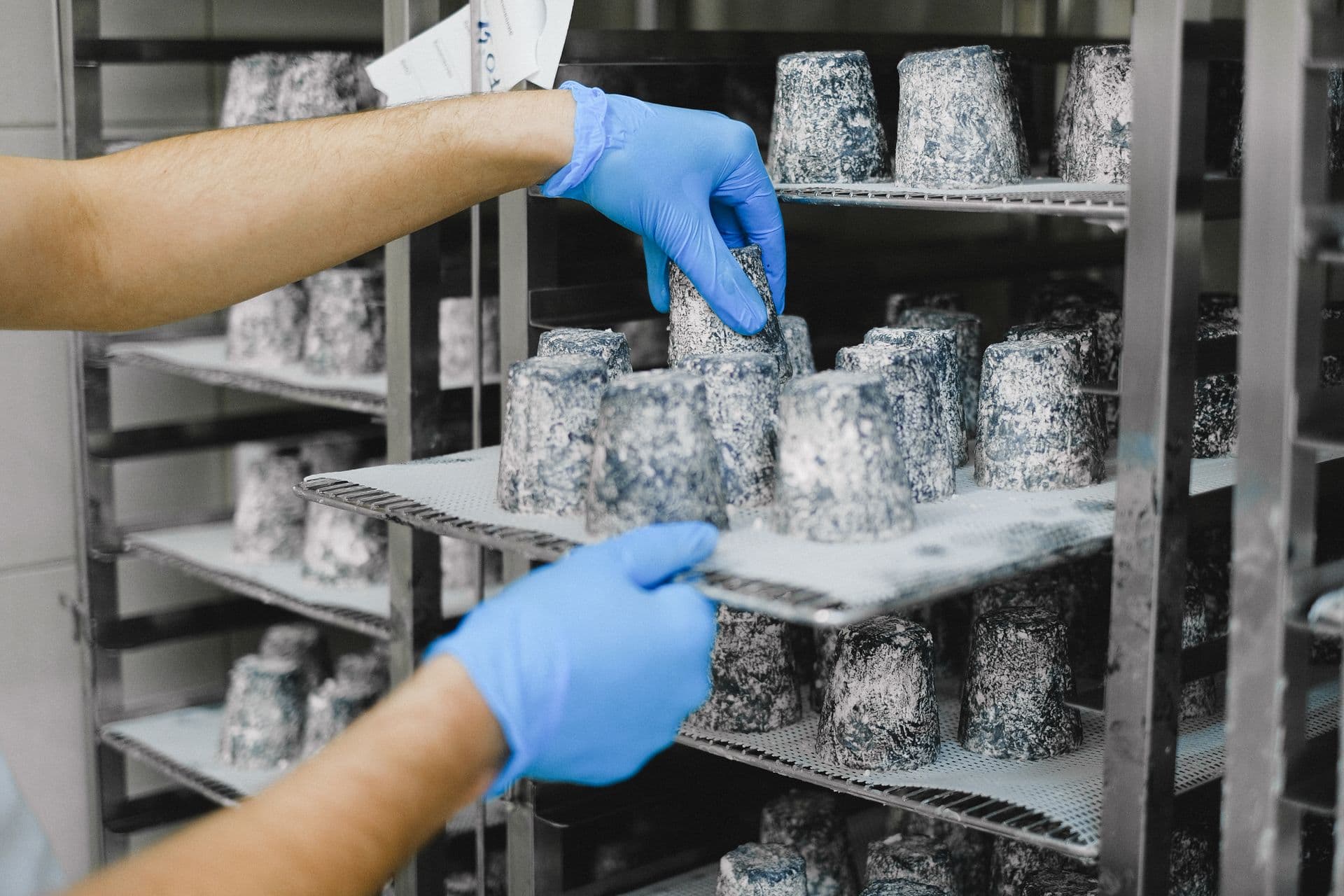 Person with gloves handling cheese samples on a shelf, highlighting careful food preparation.