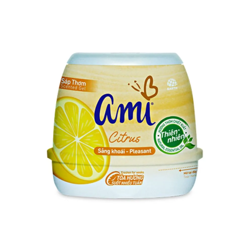 Ami Air Freshener Citrus Solid 200g